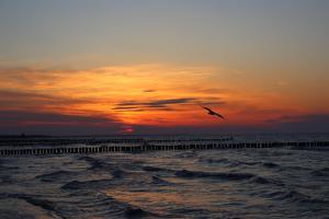 Strandwohnung direkt am Meer - Whg 32