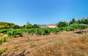 Maisons de vacances 3 Bedroom Stunning Home In Bedoin : photos des chambres