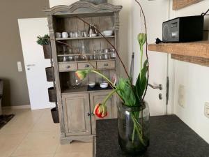 Ferienwohnung Seestern 8 Treibholz