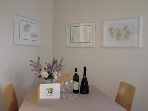 Sotto il pergolato di glicine