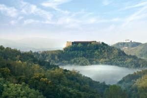 Sotto il pergolato di glicine