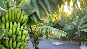 Arrebol Suite con Jacuzzi, piscina y naturaleza