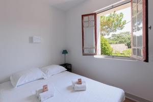 Appartements Appartement Prunelle - Welkeys : photos des chambres