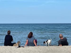 Strandwohnung direkt am Meer - Whg 33