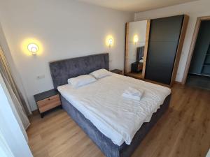 Vibe Apartment