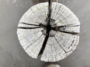 Appartementhaus Zingst 4 - Urlaub zwischen Meer & Bodden