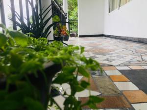 Grand Infinite Home Stay