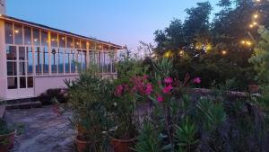 Artists holiday home near Cinque Terre - 4 bedrooms, large terrace, great views