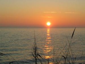 Ferienwohnung Schlinkheider