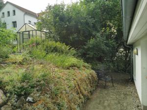 Rügen Fewo 91 Buchenwinkel