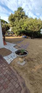 Villa La Plage des Oiseaux proche plage