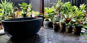 Alam Kesehatan Wellness retreat