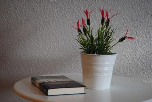 Exkl App Kliff am Meer, W-LAN, Balkon