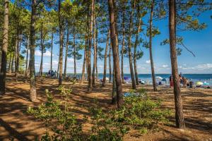 Complexes hoteliers Camping Hourtin : photos des chambres