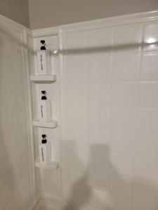 Ann Arbors Humble Abode