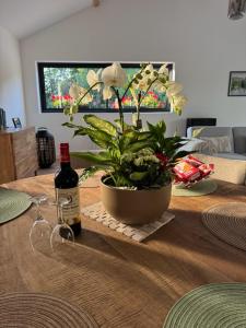 Gîte les pins - Maison cosy et calme à Ardres