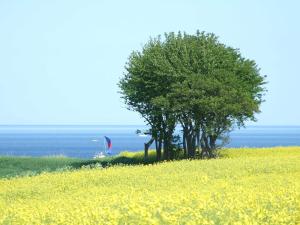Ferienwohnung Küstenliebe