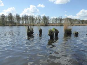 Ferienwohnung Alte Dorfschule