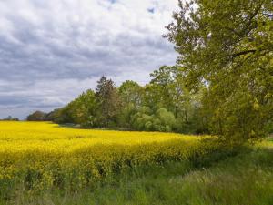 Ferienwohnung Alte Dorfschule