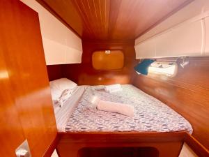 Principessa dei draghi Full Day and Night Experience 