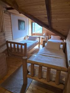 Art Apartments Minic