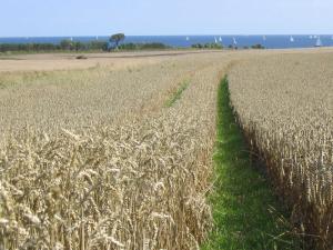 Ferienwohnung Strandglück