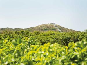 K6 von Appartements & Mehr