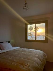 Modern Designer Home