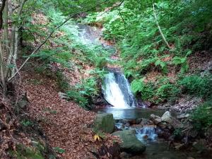 Mas Vilar, relax, nature and slow Exclusive Only 6 rooms