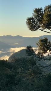 Cabanas e Chalés De luxo Black BIRD Morro da Igreja com Banheira de hidromassagem