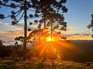 Cabanas e Chalés De luxo Black BIRD Morro da Igreja com Banheira de hidromassagem