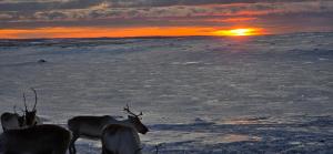 Arctic Lake Aurora house,Sevettijärvi