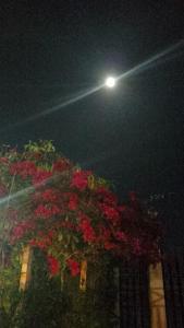 Pousada Casa São Carlos chalé Julyana