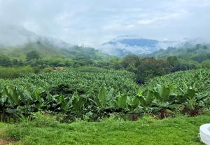 Casa de los Sueños Colombia