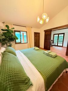 Casa de los Sueños Colombia