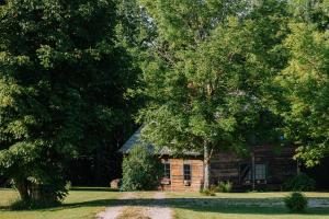Country homestead in Abava Valley "Viļņi"