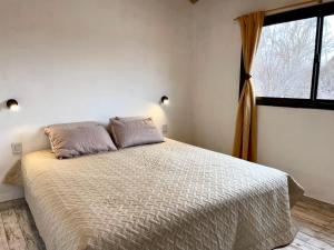 Cabaña en finca y viñedos