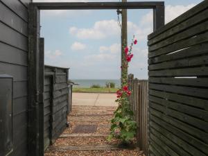 The Artists Cabin By The Sea