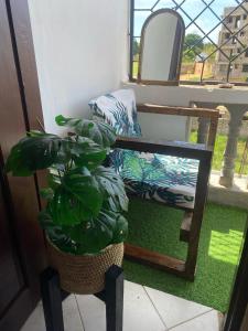 Fk homes executive studio with rooftop pool