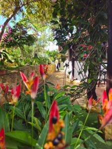 Cabaña Las Chicharras