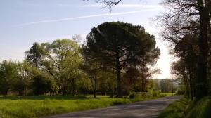 Roquepoix, escale au vert pour sillonner le Gers