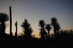 Quinta Las Pudencianas