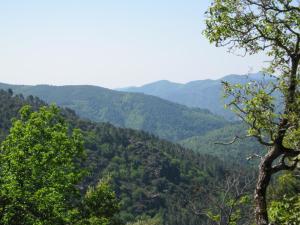 Maisons de vacances Stone House in Cevennes near Medieval Village : photos des chambres