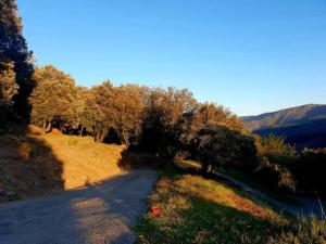 Maisons de vacances Stone House in Cevennes near Medieval Village : photos des chambres