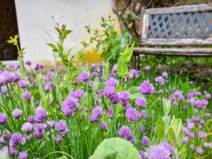 Maisons de vacances Holiday Home in Teilhet near Chateau Rocher : photos des chambres