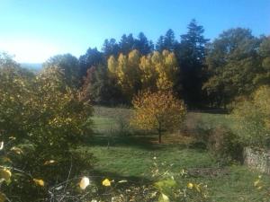 Maisons de vacances Holiday Home in Teilhet near Chateau Rocher : photos des chambres