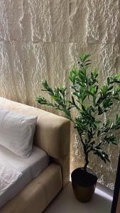 شقة بتصميم فريد وهادى