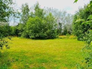 Luxury tiny house with sauna in Lierneux