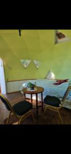 Domo Temuco con vista a la ciudad