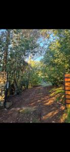 Domo Temuco con vista a la ciudad